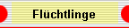 Flchtlinge