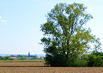 Frhlingswanderung ber Feldwege