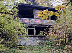 Haus mitten im Wald