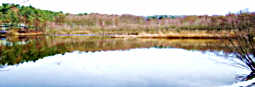 Herbstlicher Abwassersee von Ostseite gesehen