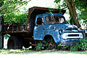 Zugewachsener Oldtimer - Lastwagen