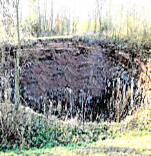 Pltzlich tut sich im Waldboden ein riesiges Tagesbruch - Loch auf