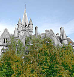 eine vom Wald zugewachsene Burg